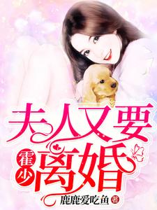 霍少，夫人又要离婚陆宁宁霍闻声傅景行乔幽小说免费阅读