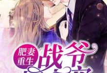 免费阅读黎风瞳战霆敖沙明珠花若麟为主角的小说，肥妻重生：战爷慢点宠在线看-银杏文学