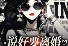 小说《说好要离婚，你怎么后悔了》在线章节阅读-银杏文学