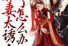 带球跑：弃妻太诱人了怎么办这本小说完结了吗？免费查看最新章节-银杏文学