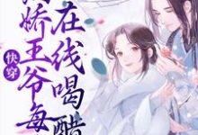 快穿：病娇王爷每天在线喝醋这本小说在哪里可以看？哪里有免费试读章节？-银杏文学