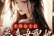 《不管女主后，恶毒女配她逆天改命》小说主角沈琉衣苍无章节章节免费在线阅读-银杏文学