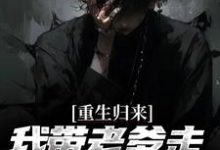 云辉云哲的完整故事在哪里？读重生归来，我带老爹走上人生巅峰小说-银杏文学