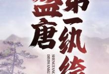 《盛唐第一纨绔》小说章节列表免费试读，梦回婉儿小说在线阅读-银杏文学