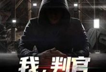 我，判官，军统界第一人林牧，我，判官，军统界第一人小说免费阅读-银杏文学