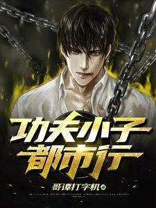 功夫小子都市行小说完结版章节免费阅读