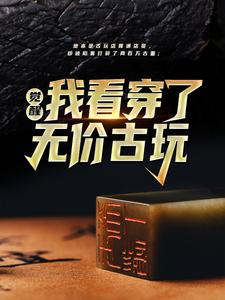 觉醒！我看穿了无价古玩叶枫张可欣小说在线章节免费阅读