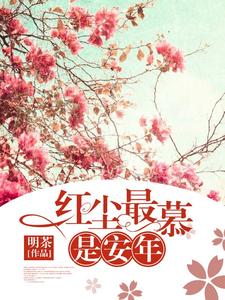 免费阅读慕安年沈宴尘为主角的小说，红尘最慕是安年在线看