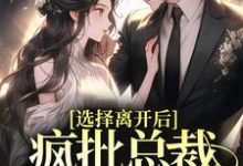 选择离开后，疯批总裁追妻火葬场小说全文阅读需要付费吗？寻找免费资源-银杏文学