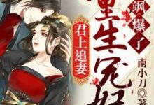 求推荐可以免费阅读君上追妻：重生宠妃飒爆了小说的网站-银杏文学