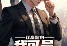 在线寻找陆远的小说，社畜翻身：我可是顶级权贵免费阅读-银杏文学