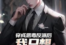 小说《穿成恶毒反派后，我只想离婚保平安》在线章节阅读-银杏文学