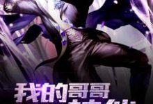 完结版《我的哥哥是神仙》章节目录在线阅读-银杏文学