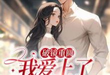 破镜重圆：我爱上了高门之子小说，破镜重圆：我爱上了高门之子宋轻臣黎嫚-银杏文学