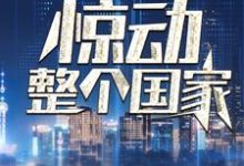 叶北小说我一通电话，惊动整个国家在线阅读章节-银杏文学