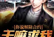 《你说解除合约，干嘛求我回去》小说大结局免费试读 陆洲小说-银杏文学