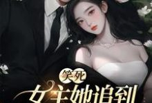 笑死，女主她追到一半不追了温瑾沈寻舟，笑死，女主她追到一半不追了小说免费阅读-银杏文学