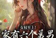 女权至上！家有六个美男是什么体验言卿江家六兄弟小说免费阅读-银杏文学
