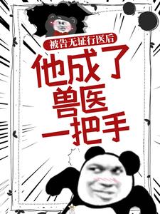 《被告无证行医后，他成了兽医一把手》全集免费在线阅读（宋病）