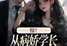 惊！从病娇学长身边逃跑失败了叶寒向暖，惊！从病娇学长身边逃跑失败了小说免费阅读-银杏文学