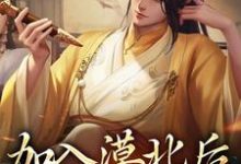加入漠北后，我建立帝国小说无弹窗阅读的网站推荐-银杏文学