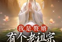 《我是赘婿，有个老祖宗娘子很合理吧》小说章节在线试读，《我是赘婿，有个老祖宗娘子很合理吧》最新章节目录-银杏文学