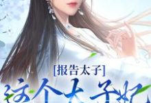 报告太子：这个太子妃好眼熟最新章节，报告太子：这个太子妃好眼熟章节在线阅读-银杏文学