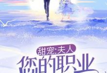 甜宠：夫人，您的职业操守呢！许时漾周砚京，甜宠：夫人，您的职业操守呢！章节在线阅读-银杏文学