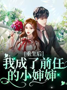 重生后我成了前任的小婶婶 苏宁安陆时晏在线章节免费阅读
