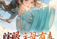 瞎眼主母有毒，不做也罢端木静姝小说在线章节免费阅读-银杏文学