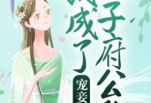 宠妾上位：我成了太子府公敌（苏妤李晟）在线免费阅读-银杏文学