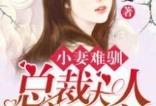 完结版《小妻难驯：总裁大人蜜蜜宠》章节目录在线阅读-银杏文学