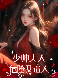 民国：少帅夫人危险又迷人杨世彦傅晚晴小说大结局免费试读