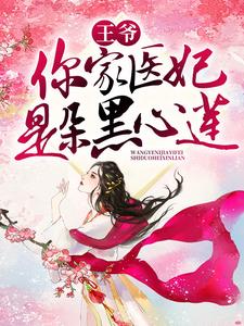 小说《王爷，你家医妃是朵黑心莲》章节免费阅读