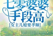 完整版的七零婆婆手段高，女主儿媳要孝顺小说在哪里可以免费读到？-银杏文学