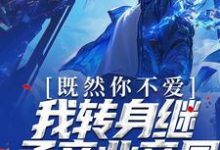 哪里能找到既然你不爱，我转身继承商业帝国小说的最新更新和免费章节？-银杏文学
