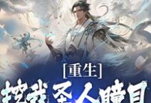 重生：挖我圣人瞳目，夫人你挺牛啊小说，重生：挖我圣人瞳目，夫人你挺牛啊最新章节-银杏文学
