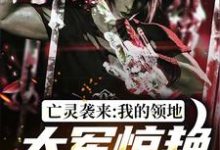 《亡灵袭来，我的领地大军惊艳全世界》小说章节列表免费试读，苏恒小说在线阅读-银杏文学